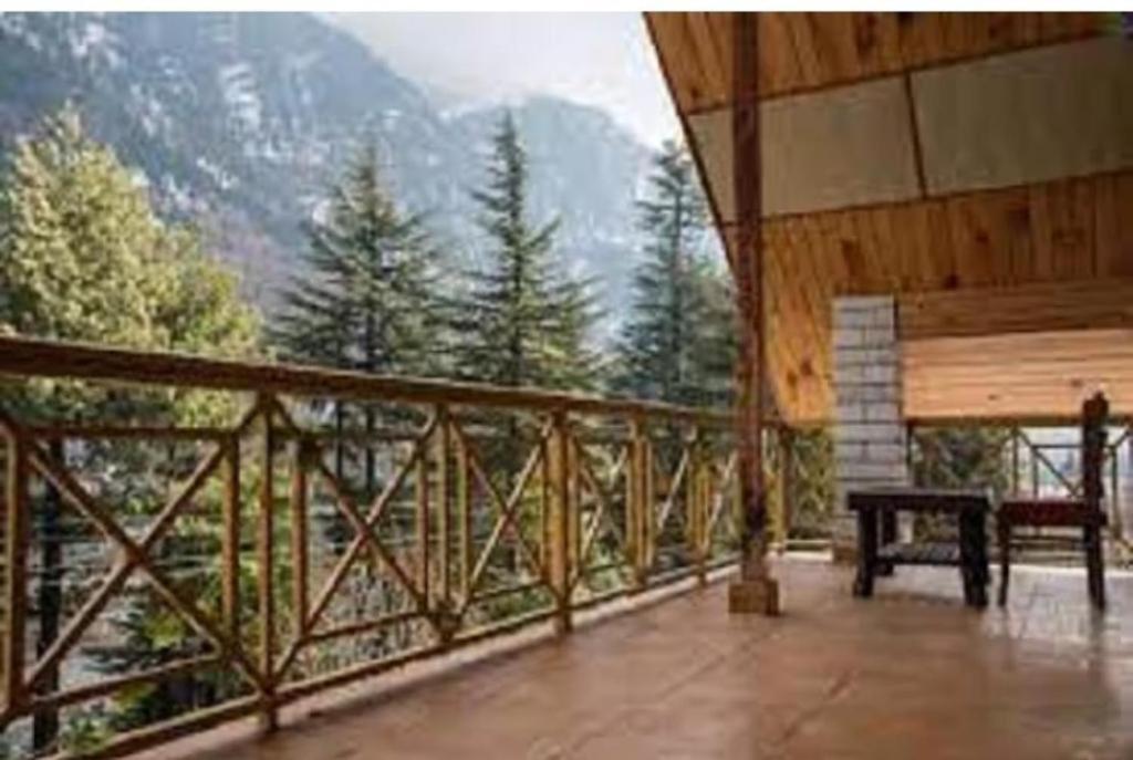 Himalayan Ecstacy * Manali (Himachal Pradesh)